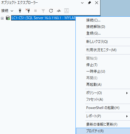 ServerProperty